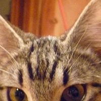 Cindy Calhoun Photo 28