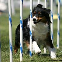 Nancy Maher Photo 41