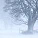 Daniel Storms Photo 15