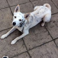 Susan Creighton Photo 12