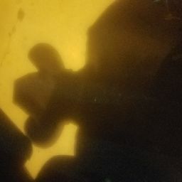 Juan Florez Photo 11