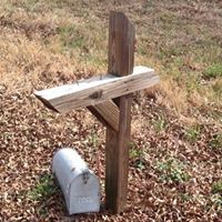 Cynthia Posey Photo 19