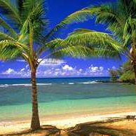 Angela Griggs Photo 30