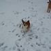 Annie Snow Photo 32
