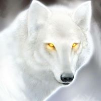 Michael Moorehead Photo 45