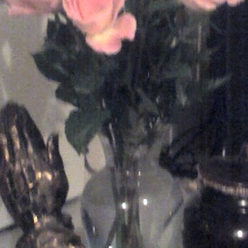 Larry Franks Photo 28