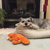 Kathryn Mcdermott Photo 8