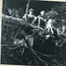 Cathy Gregg Photo 10
