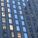 Ada Roche Photo 8