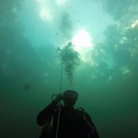 Stacy Mcconnell Photo 6