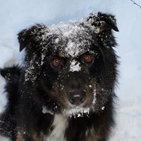 Timothy Ragan Photo 8