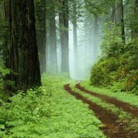 Doris Walters Photo 24