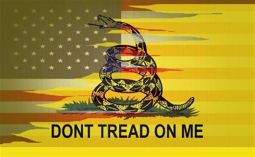 Robin Masters Photo 23