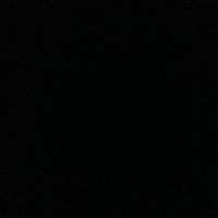 Danny Vance Photo 19