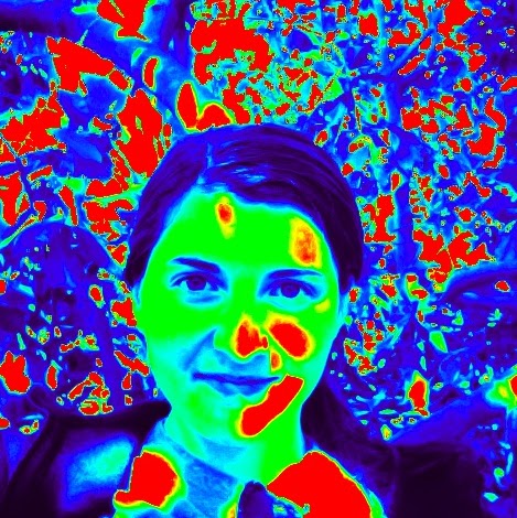 Elisabeth Cook Photo 28