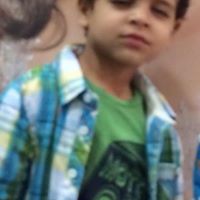 Ayman Hosny Photo 14