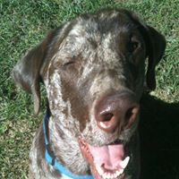 Vicki Conley Photo 17