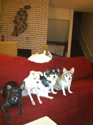 Thomas Tate Photo 11