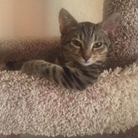 Corey Schwarz Photo 2