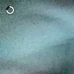 Meredith Coleman Photo 15