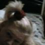 Janice Sylvester Photo 22