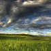Thomas Fields Photo 27