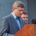 Stephen Labrador Photo 6