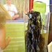 Suzanne Sullivan Photo 10