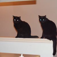 Alice Noble Photo 17