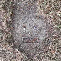 Carl Davison Photo 25