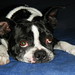 Bridgette Scott Photo 19