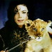 Michael Aguilera Photo 41