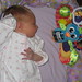 Susan Peacock Photo 18