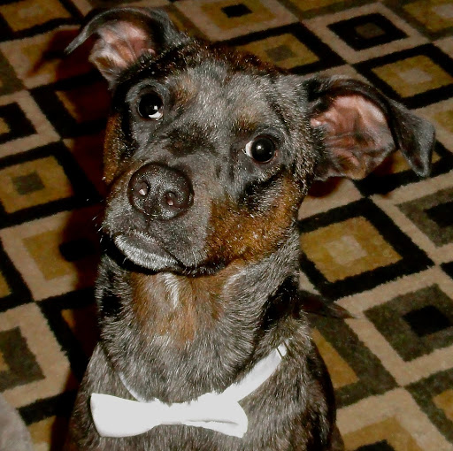 Benjamin Hunter Photo 28