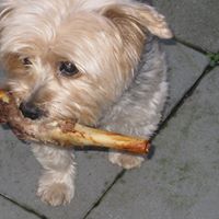 Carole Higgins Photo 22