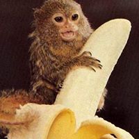 Liberty Otto Photo 1