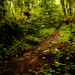 Jean Woods Photo 16