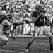 Michael Stull Photo 16