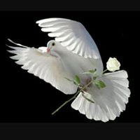 Jenny Flynn Photo 16