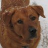 Kelly Shaffer Photo 21