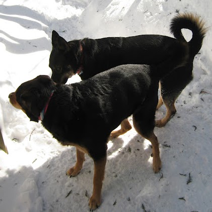Lorraine Roberts Photo 40