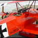 James Lupton Photo 8
