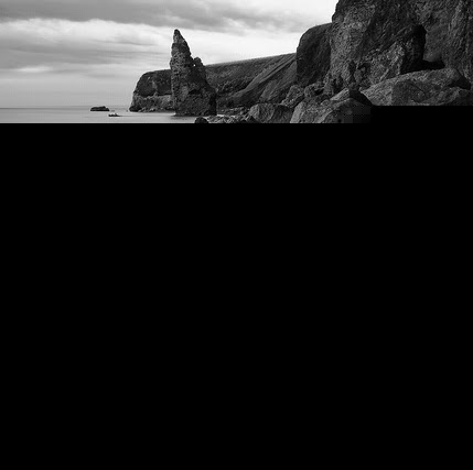 Sharon Anthony Photo 20