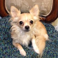 Suzanne Dickerson Photo 22