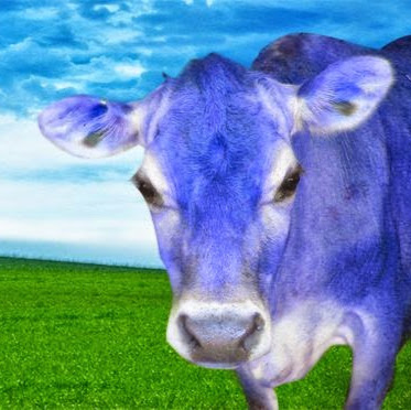 Martha Blue Photo 12