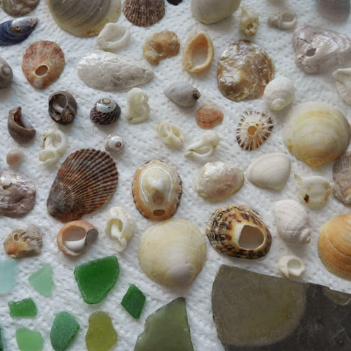 Emily Bailey Photo 15