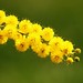 Donna Ledbetter Photo 24