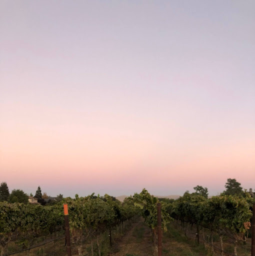 Erika Peterson Photo 33