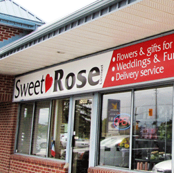 Leona Martin Photo 9