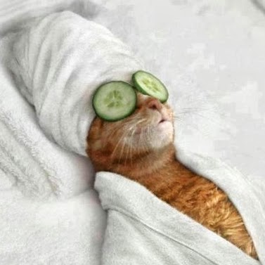 Jill Phipps Photo 24